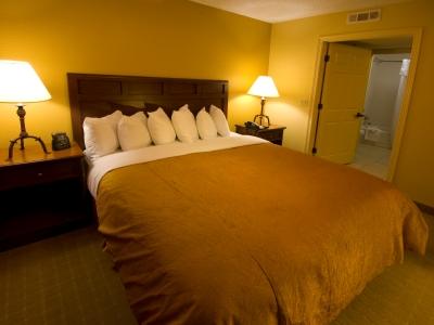 Hotel Homewood By Hilton Houston-clear Webster